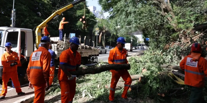 Foto de capa da notícia
