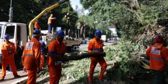 Imagem de capa da notícia