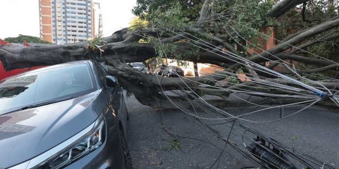 Foto de capa da notícia