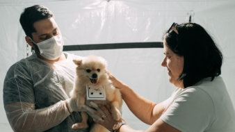 Imagem de capa da notícia