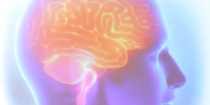 Foto de capa da notícia