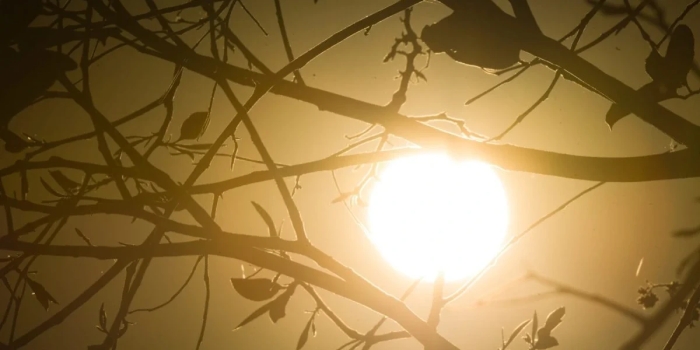 Foto de capa da notícia