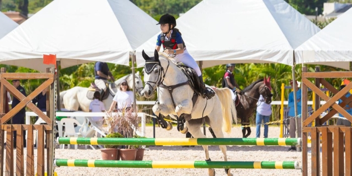 Foto de capa da notícia
