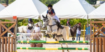 Imagem de capa da notícia