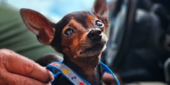 Imagem de capa da notícia