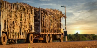 Imagem de capa da notícia