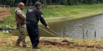 Imagem de capa da notícia