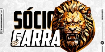 Imagem de capa da notícia