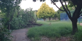 Imagem de capa da notícia