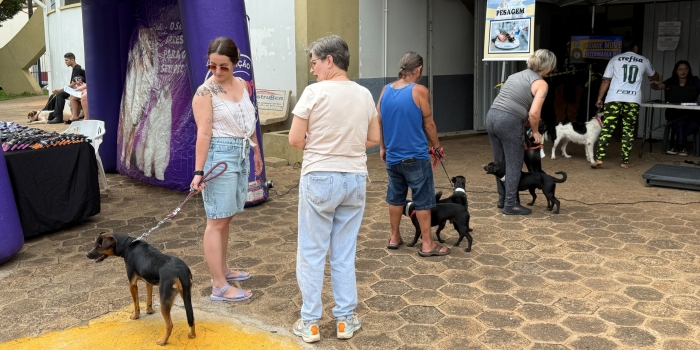 Foto de capa da notícia