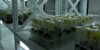 Imagem de capa da notícia