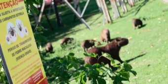 Imagem de capa da notícia