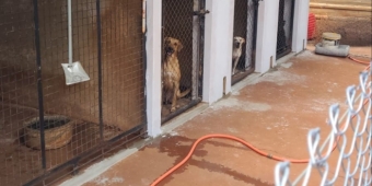 Imagem de capa da notícia