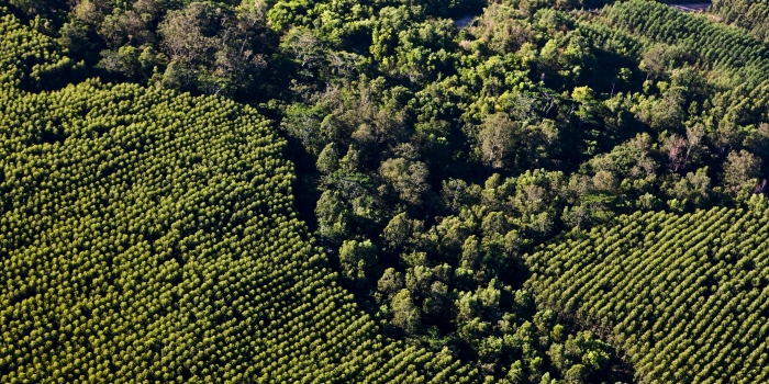Foto de capa da notícia