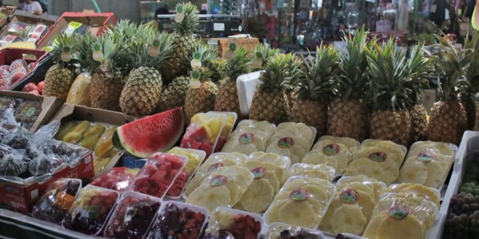 Foto de capa da notícia