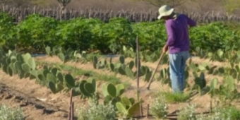 Imagem de capa da notícia