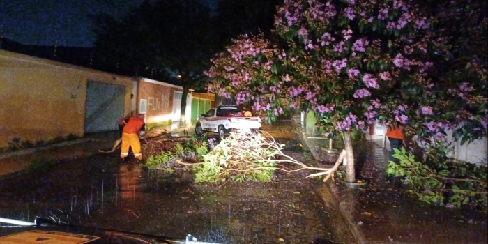Foto de capa da notícia