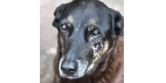 Imagem de capa da notícia