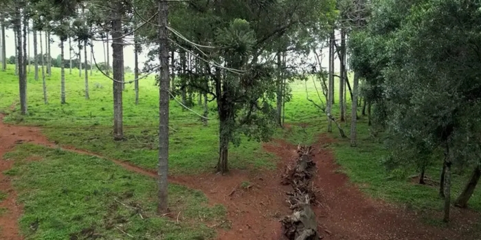 Foto de capa da notícia