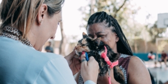 Imagem de capa da notícia