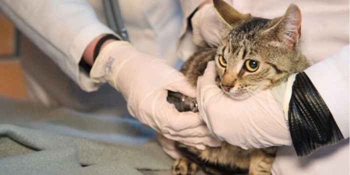 Foto de capa da notícia