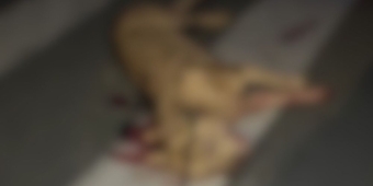 Imagem de capa da notícia