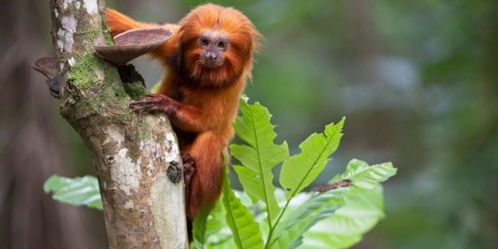 Foto de capa da notícia