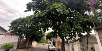 Imagem de capa da notícia