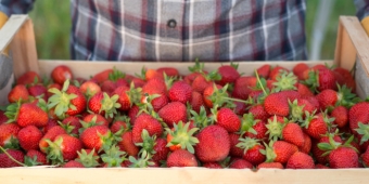 Imagem de capa da notícia