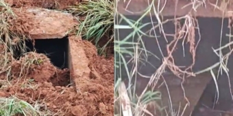 Imagem de capa da notícia