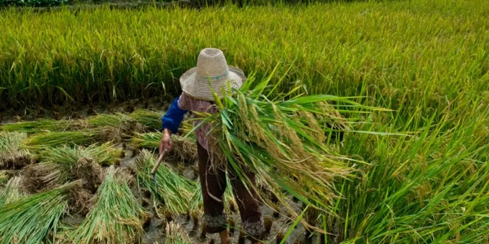 Foto de capa da notícia