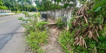 Imagem de capa da notícia