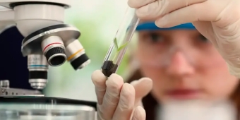 Imagem de capa da notícia