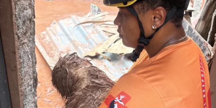 Foto de capa da notícia