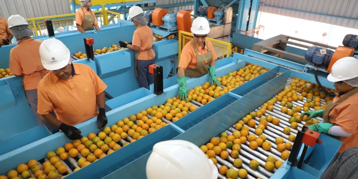 Foto de capa da notícia