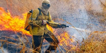 Imagem de capa da notícia