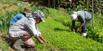 Imagem de capa da notícia