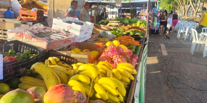 Foto de capa da notícia