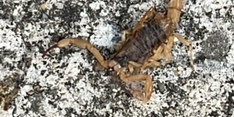 Imagem de capa da notícia