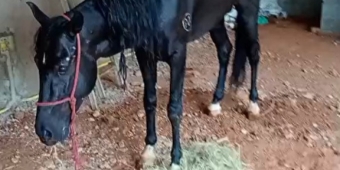 Imagem de capa da notícia