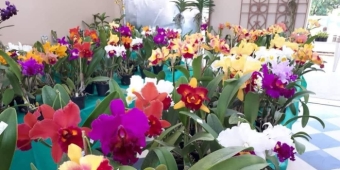 Imagem de capa da notícia