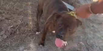 Imagem de capa da notícia