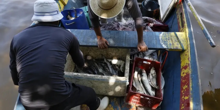 Foto de capa da notícia