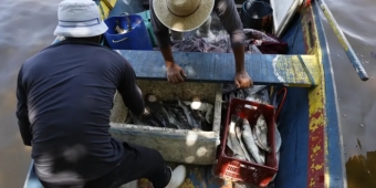 Imagem de capa da notícia