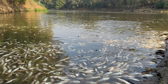 Foto de capa da notícia