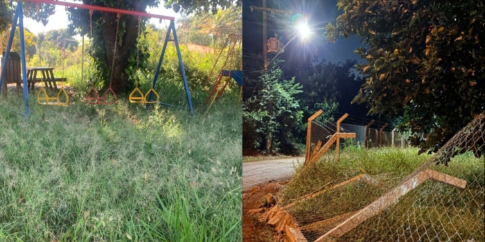 Foto de capa da notícia