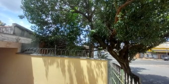 Imagem de capa da notícia