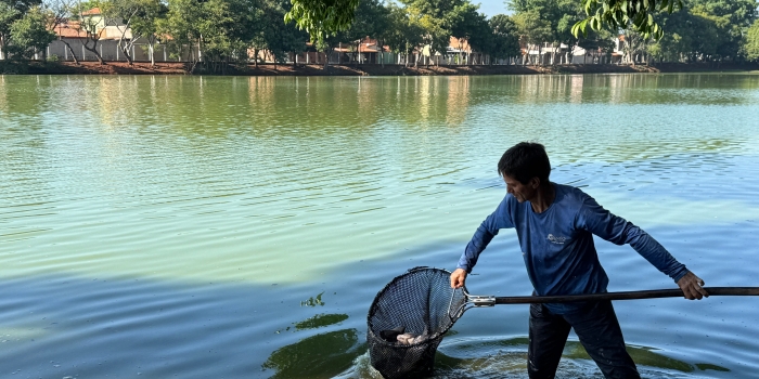 Foto de capa da notícia