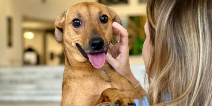 Foto de capa da notícia