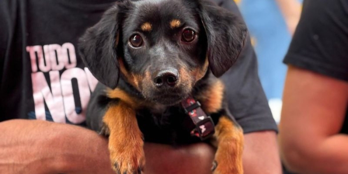 Foto de capa da notícia